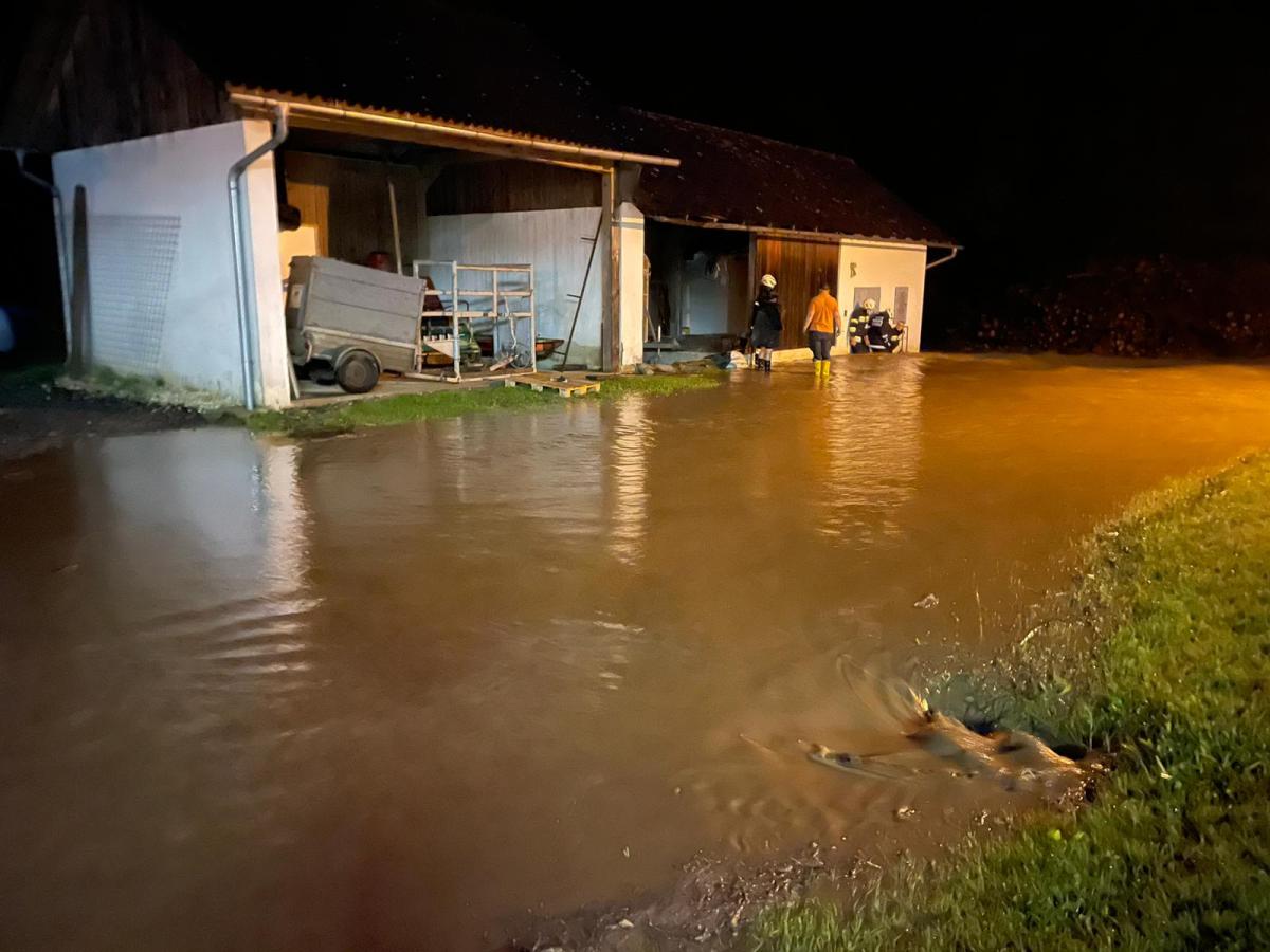 WhatsApp-Bild-2024-06-08-um-23.34.13 389e0d06