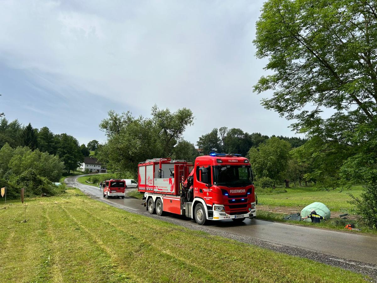 WhatsApp-Bild-2024-06-09-um-10.16.35 f497bb8b