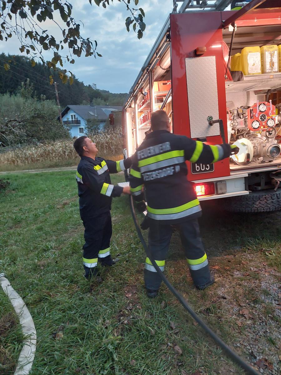 WhatsApp-Bild-2024-09-06-um-09.32.16 66752deb