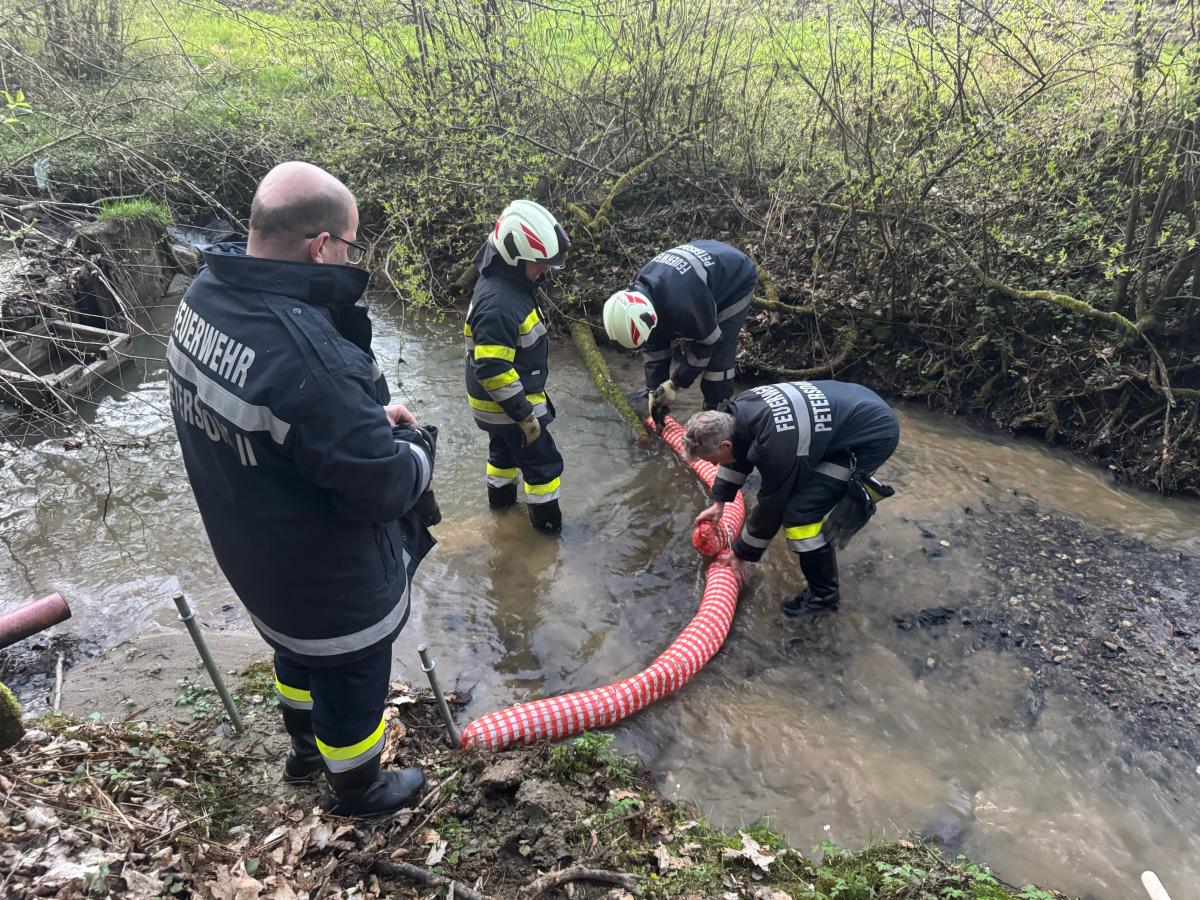 WhatsApp-Bild-2025-04-04-um-07.17.36 9958ac38