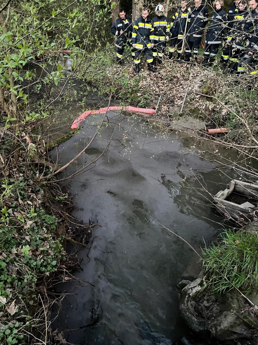 WhatsApp-Bild-2025-04-04-um-16.40.38 f8b9ffad