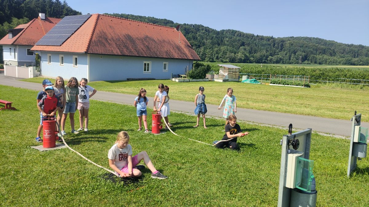 IMG 20250606 100419