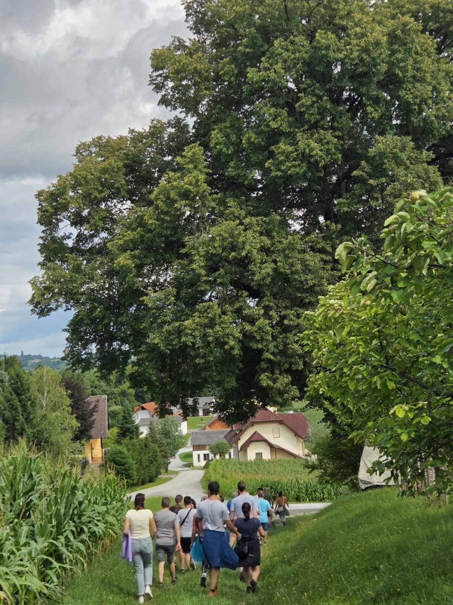 WhatsApp-Bild-2025-07-27-um-20.33.53 2e3eb8d1