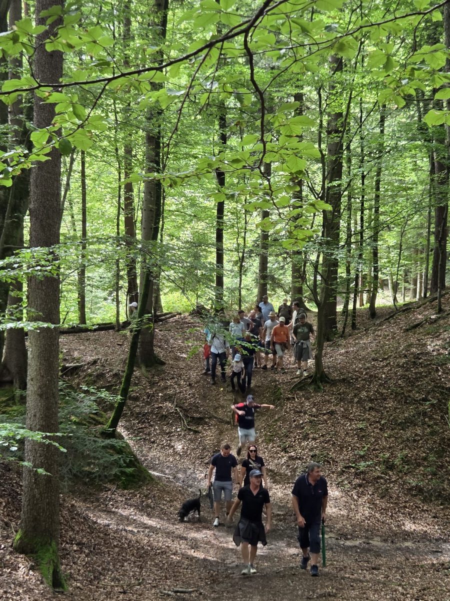 WhatsApp-Bild-2025-07-27-um-20.33.53 cd663704