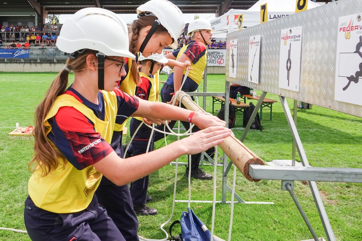 54738474707 fe0092941b o