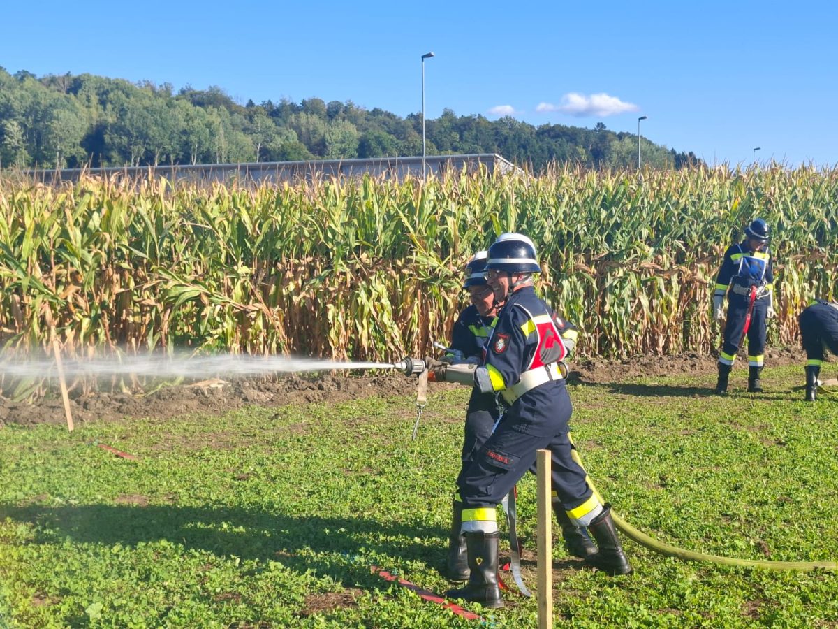 WhatsApp-Bild-2025-09-06-um-16.58.19 0058d868