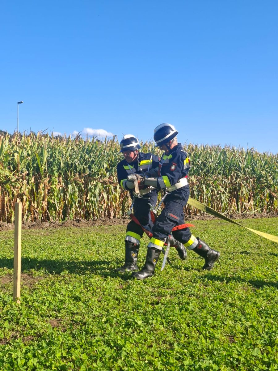 WhatsApp-Bild-2025-09-06-um-16.58.53 d5f6d9db