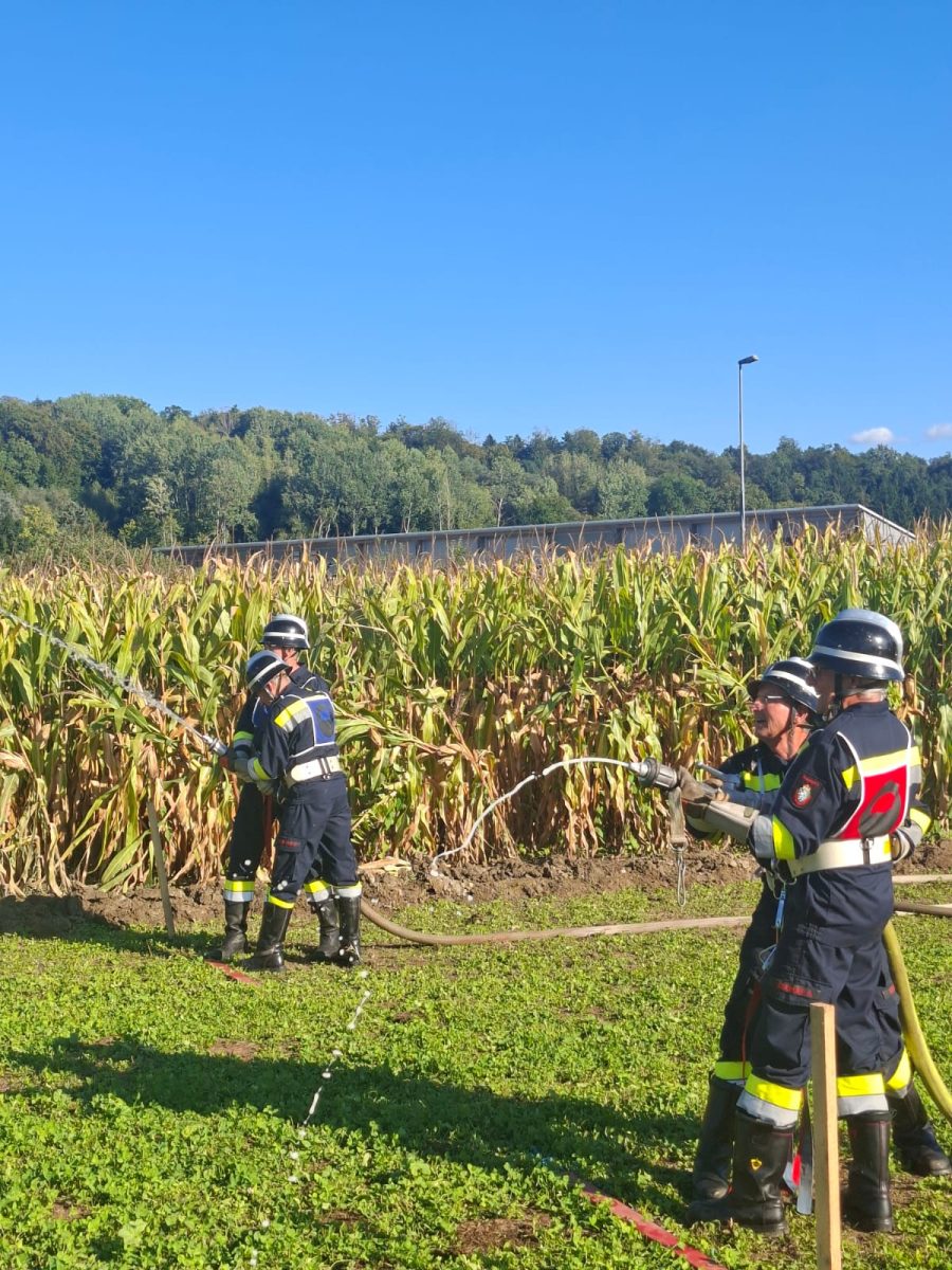 WhatsApp-Bild-2025-09-06-um-17.02.55 3b68e7d2