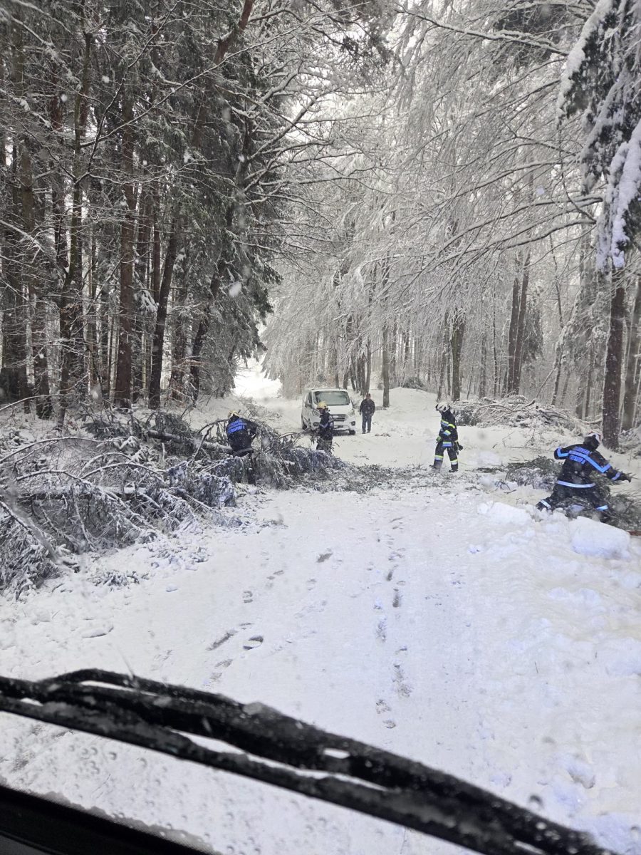 WhatsApp-Image-2026-02-20-at-09.10.29