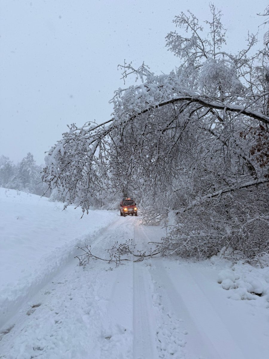 WhatsApp-Image-2026-02-20-at-09.57.00