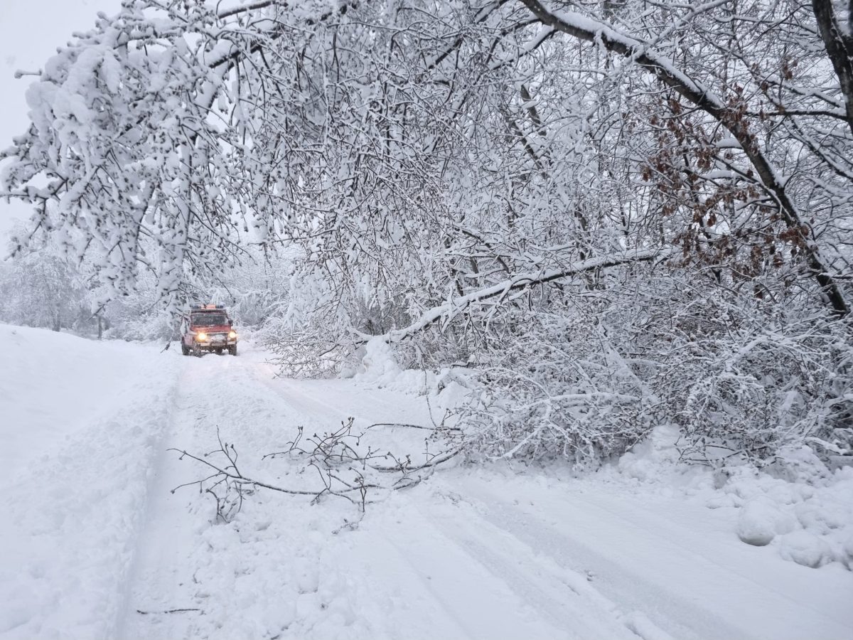 WhatsApp-Image-2026-02-20-at-15.29.47