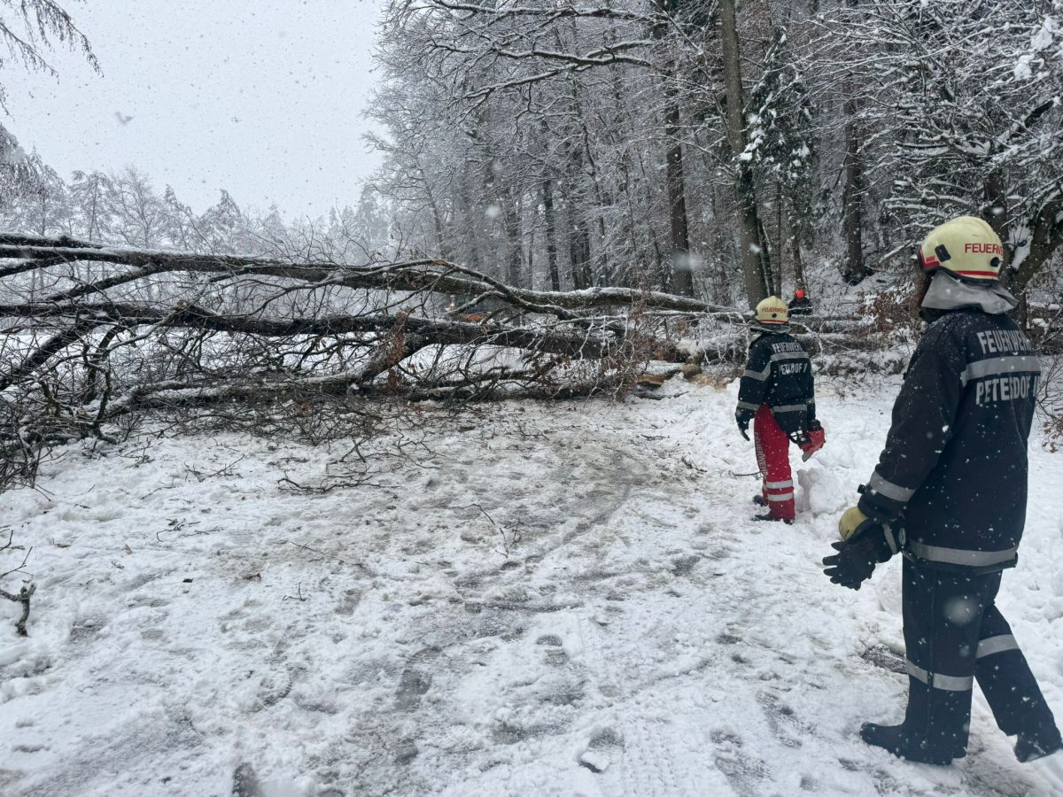 WhatsApp-Image-2026-02-20-at-16.10.45