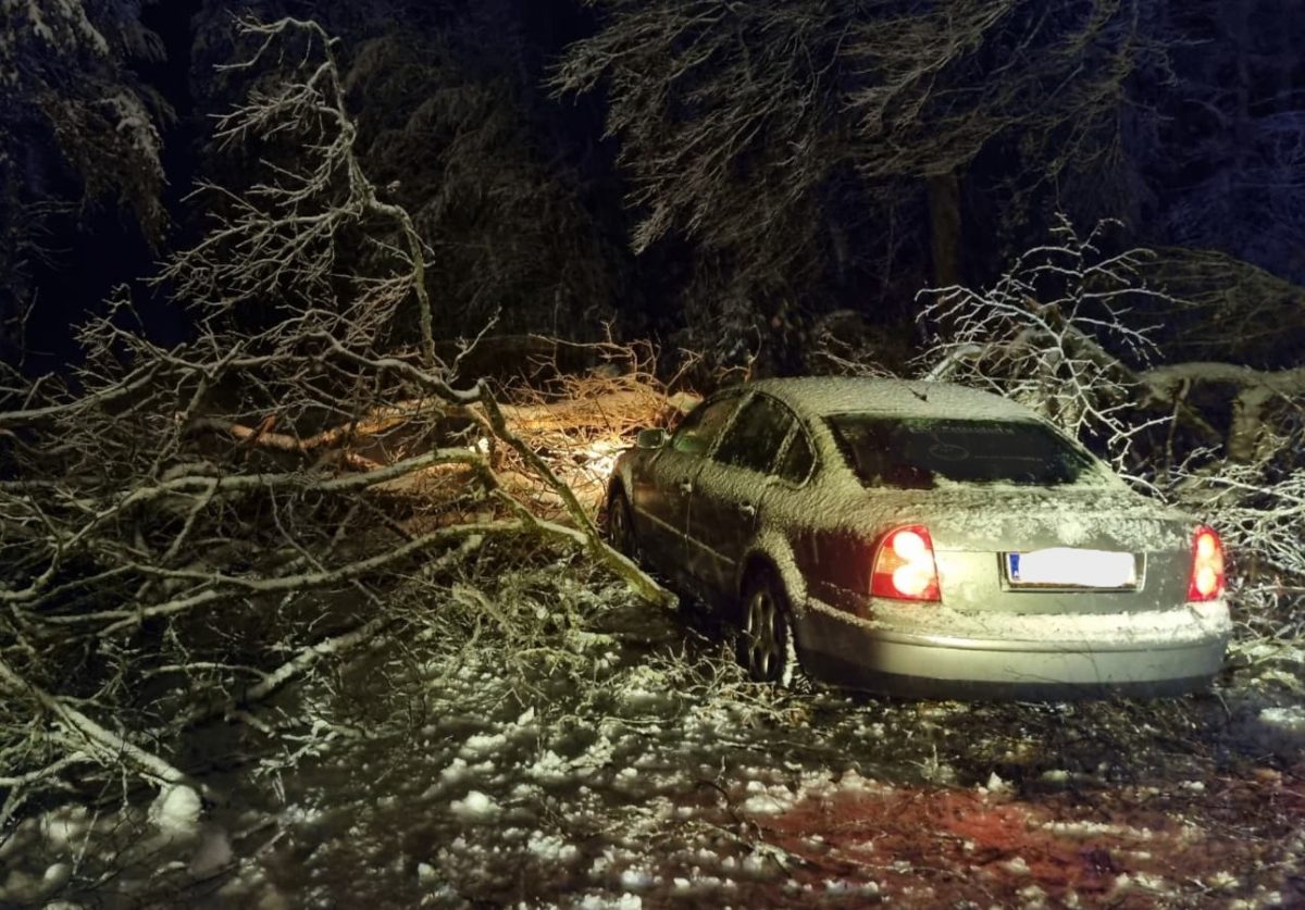 WhatsApp-Image-2026-02-20-at-19.28.40