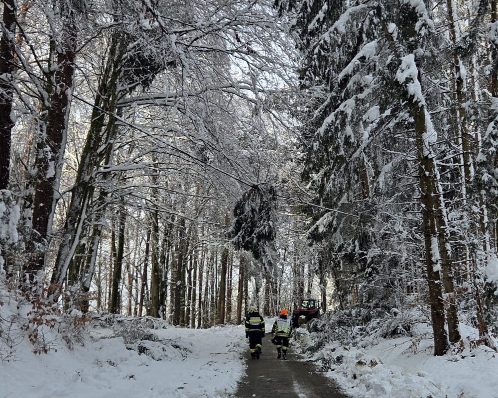 WhatsApp-Image-2026-02-21-at-14.05.36-1