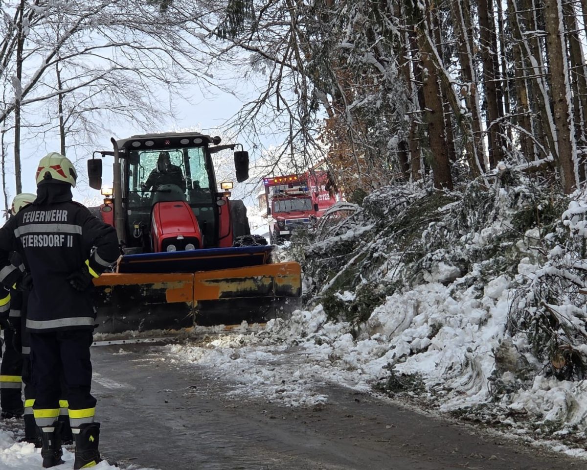 WhatsApp-Image-2026-02-21-at-14.05.37