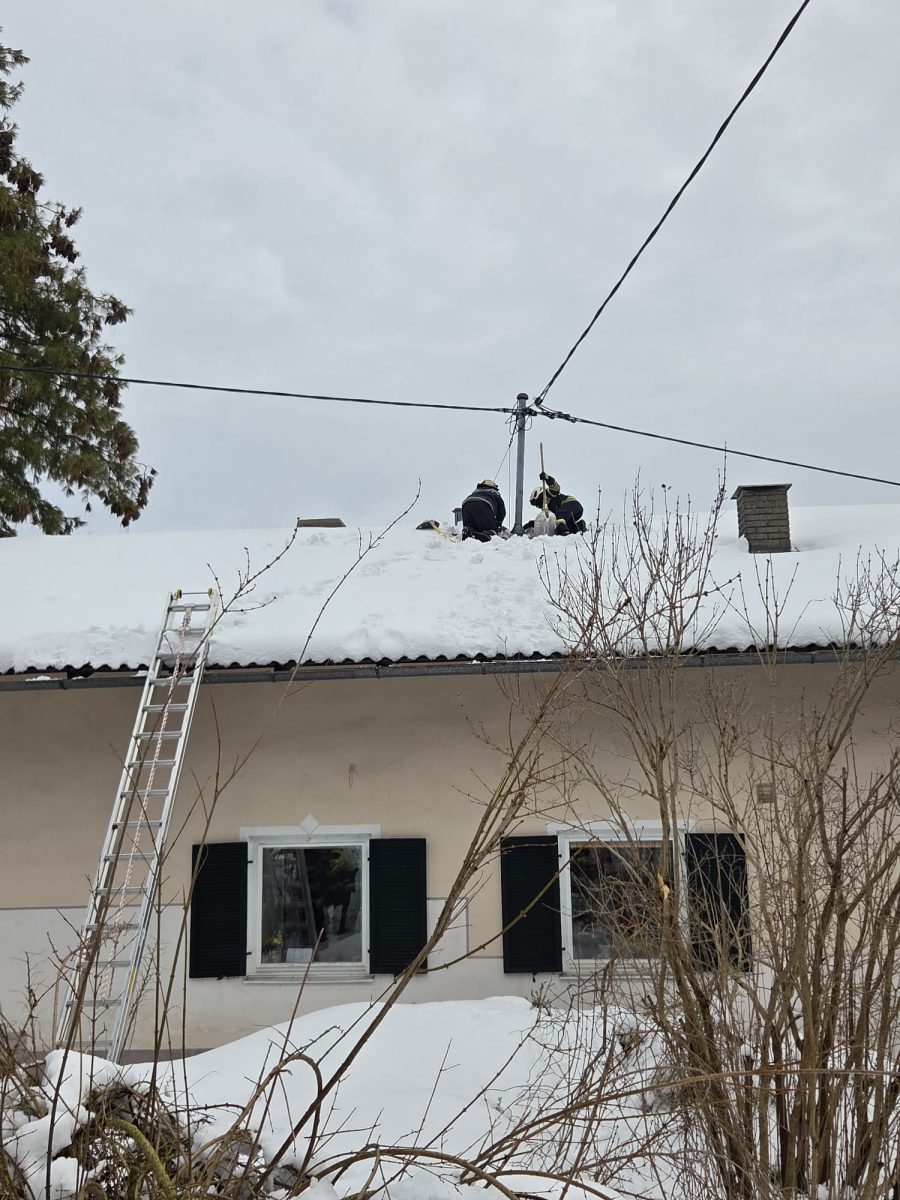 WhatsApp-Image-2026-02-22-at-19.07.16-2