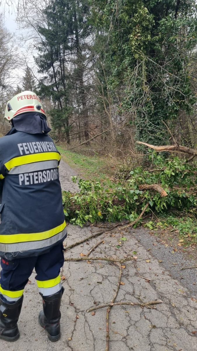 WhatsApp-Image-2026-03-26-at-15.17.23-1