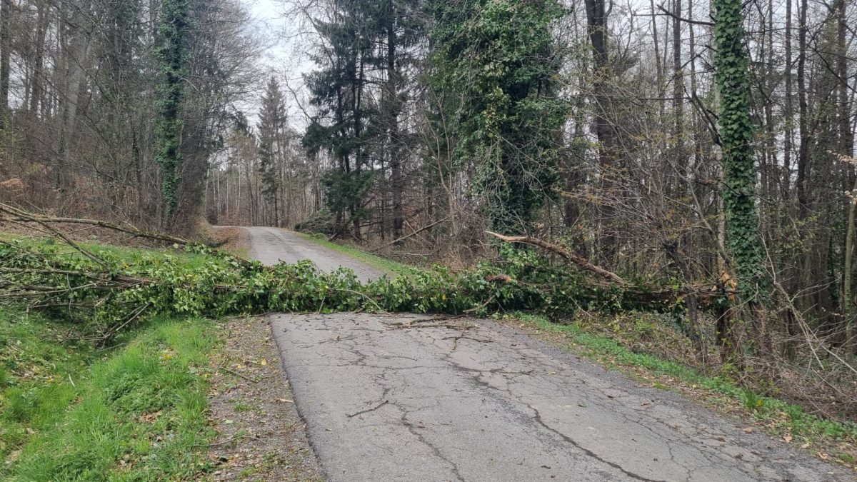 WhatsApp-Image-2026-03-26-at-15.17.23