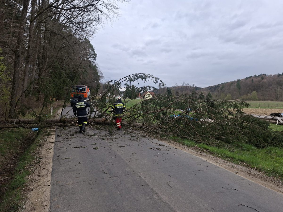 WhatsApp-Image-2026-03-27-at-11.25.41-1