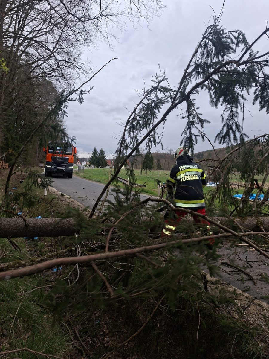 WhatsApp-Image-2026-03-27-at-11.25.41