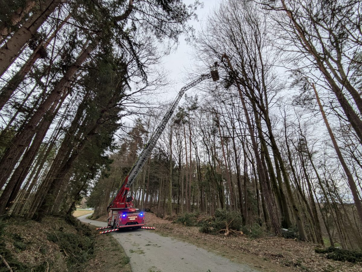 WhatsApp-Image-2026-03-27-at-19.59.41