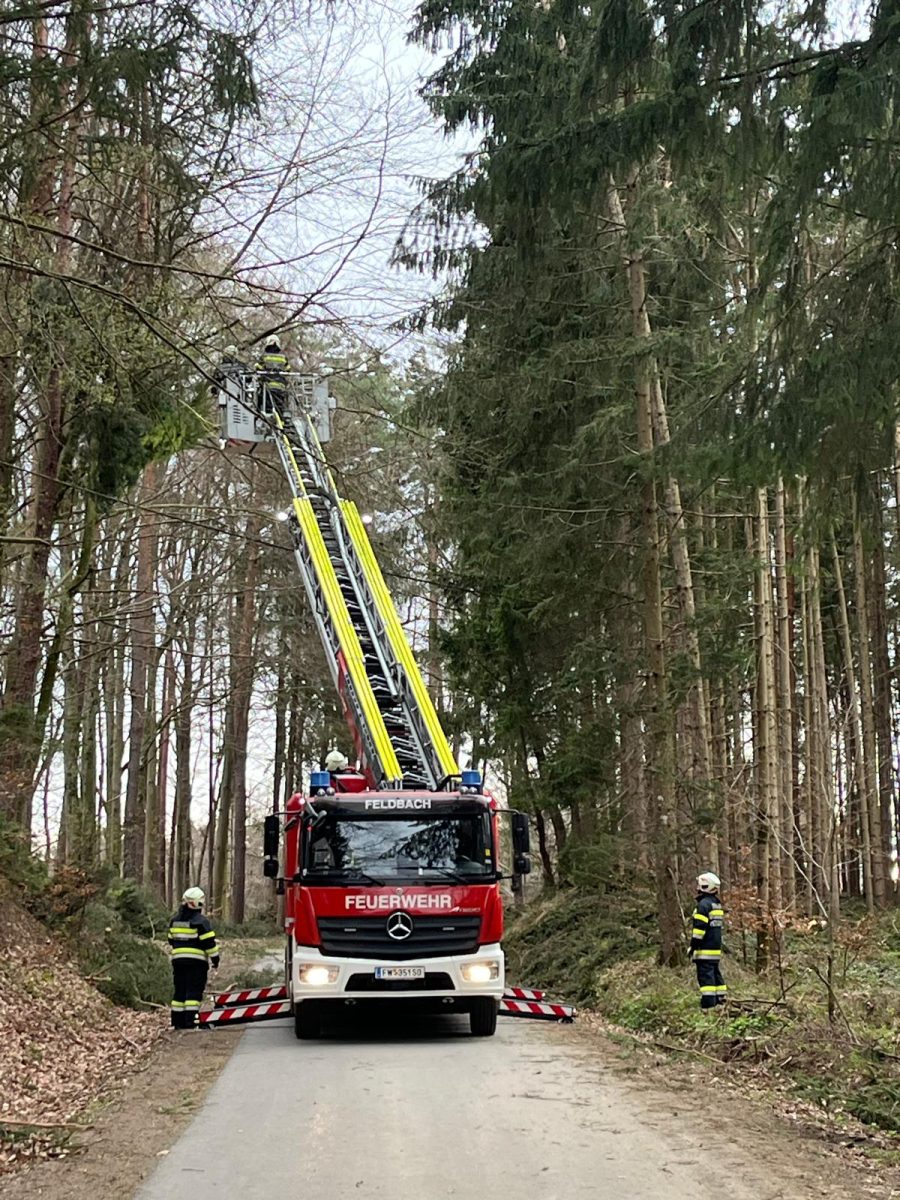 WhatsApp-Image-2026-03-28-at-06.32.22