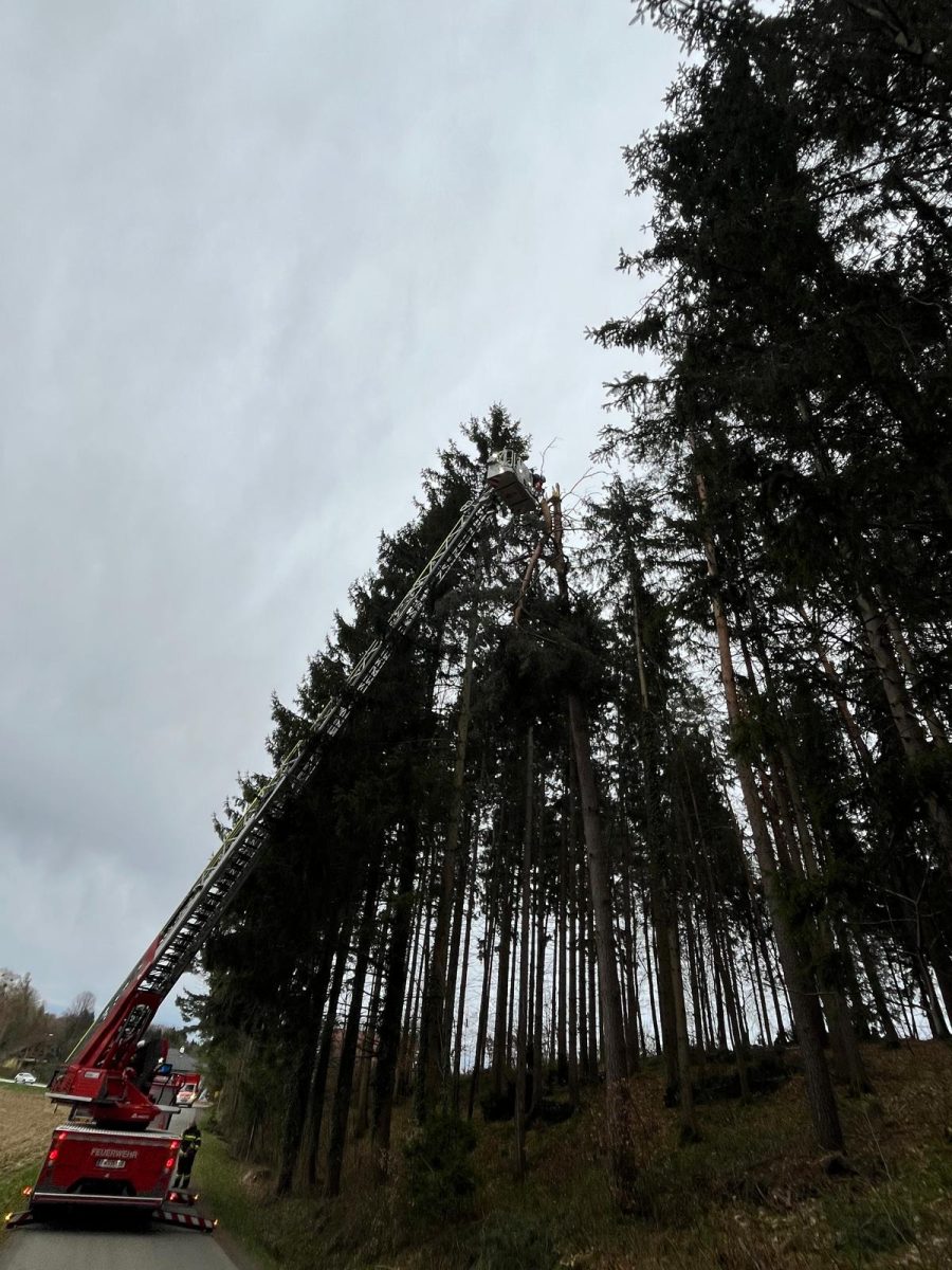 WhatsApp-Image-2026-03-28-at-06.32.24