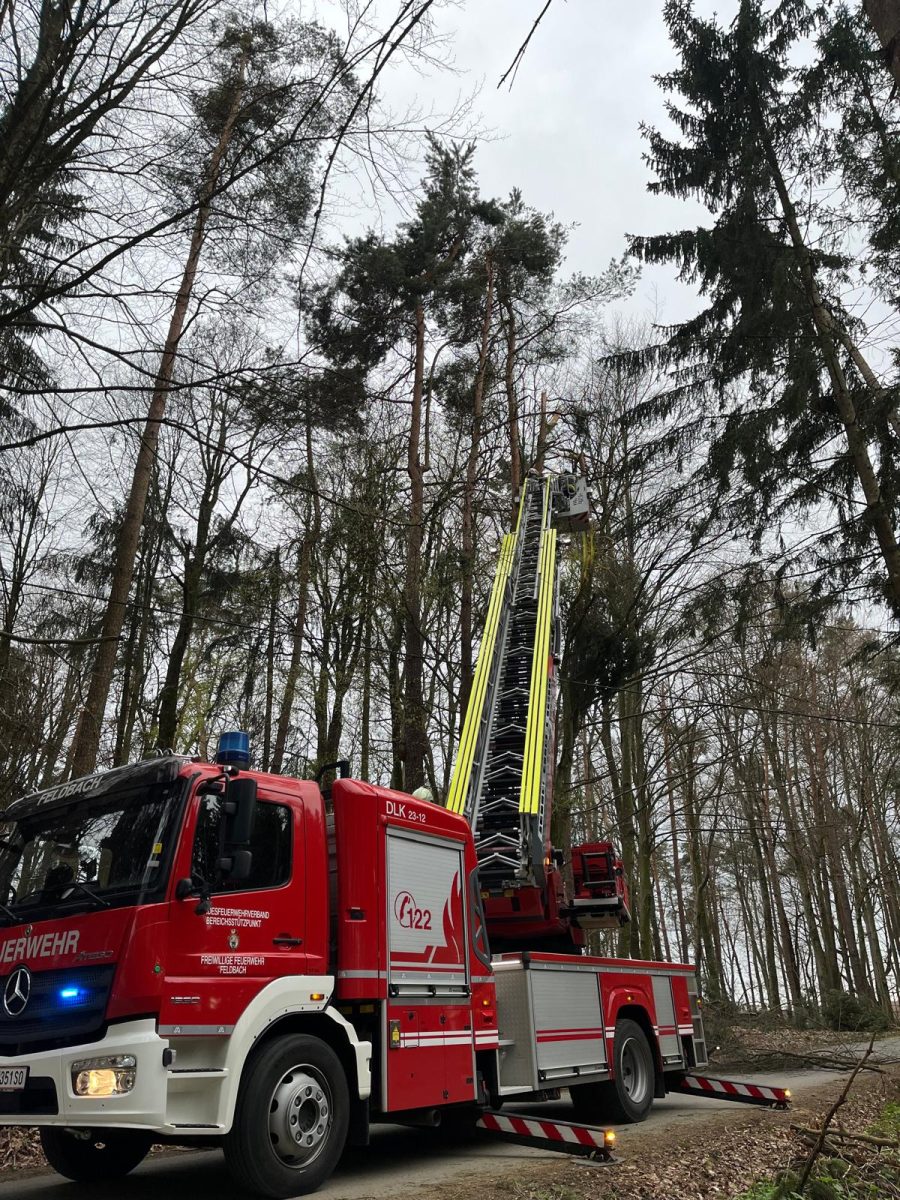 WhatsApp-Image-2026-03-28-at-06.32.25