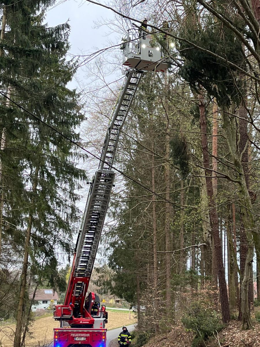 WhatsApp-Image-2026-03-28-at-06.32.26