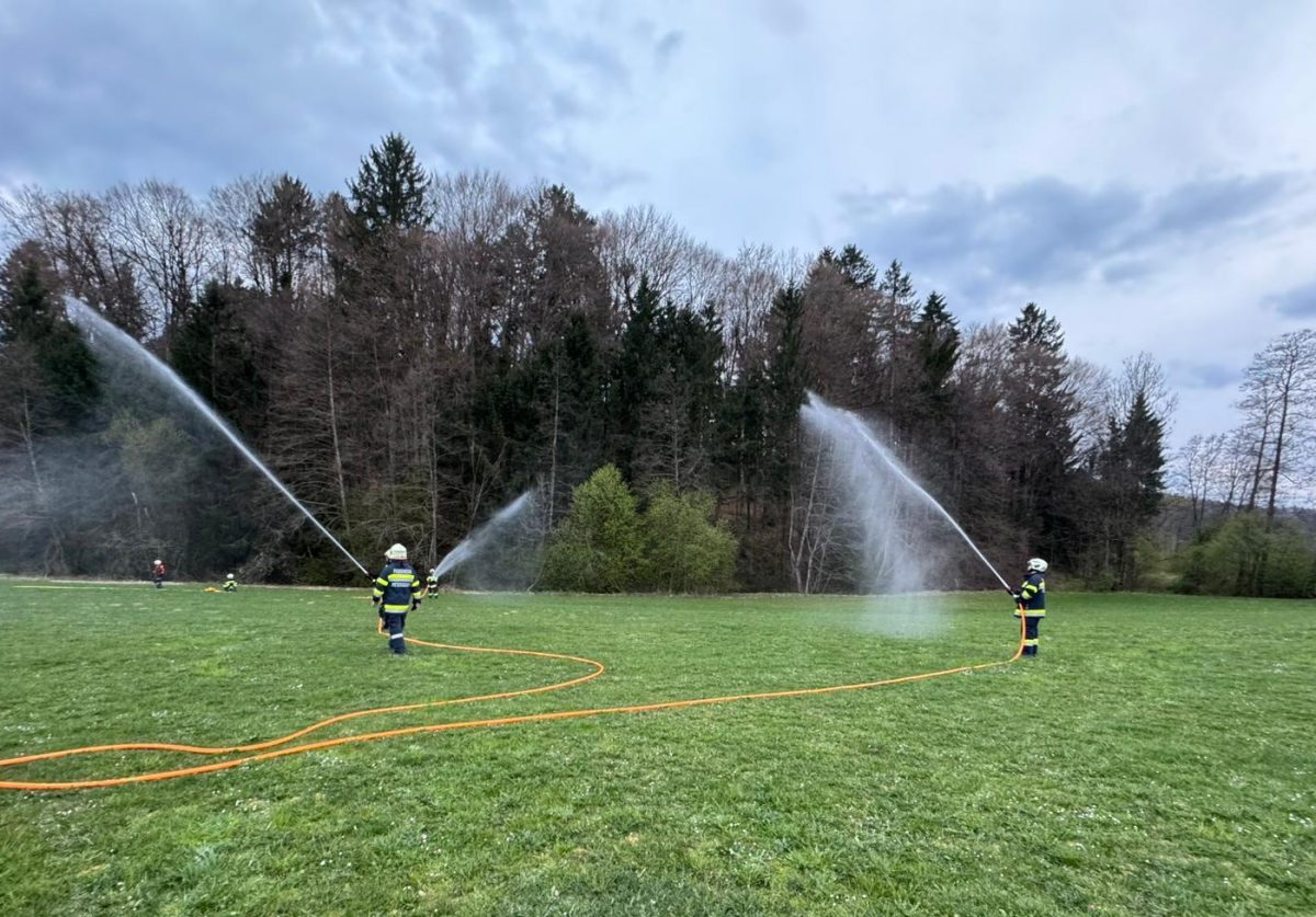 WhatsApp-Image-2026-04-08-at-18.53.10