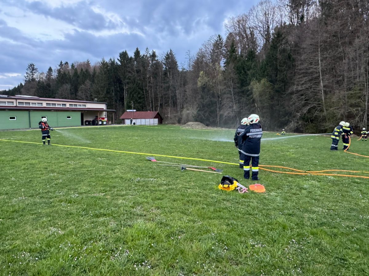 WhatsApp-Image-2026-04-08-at-18.53.12