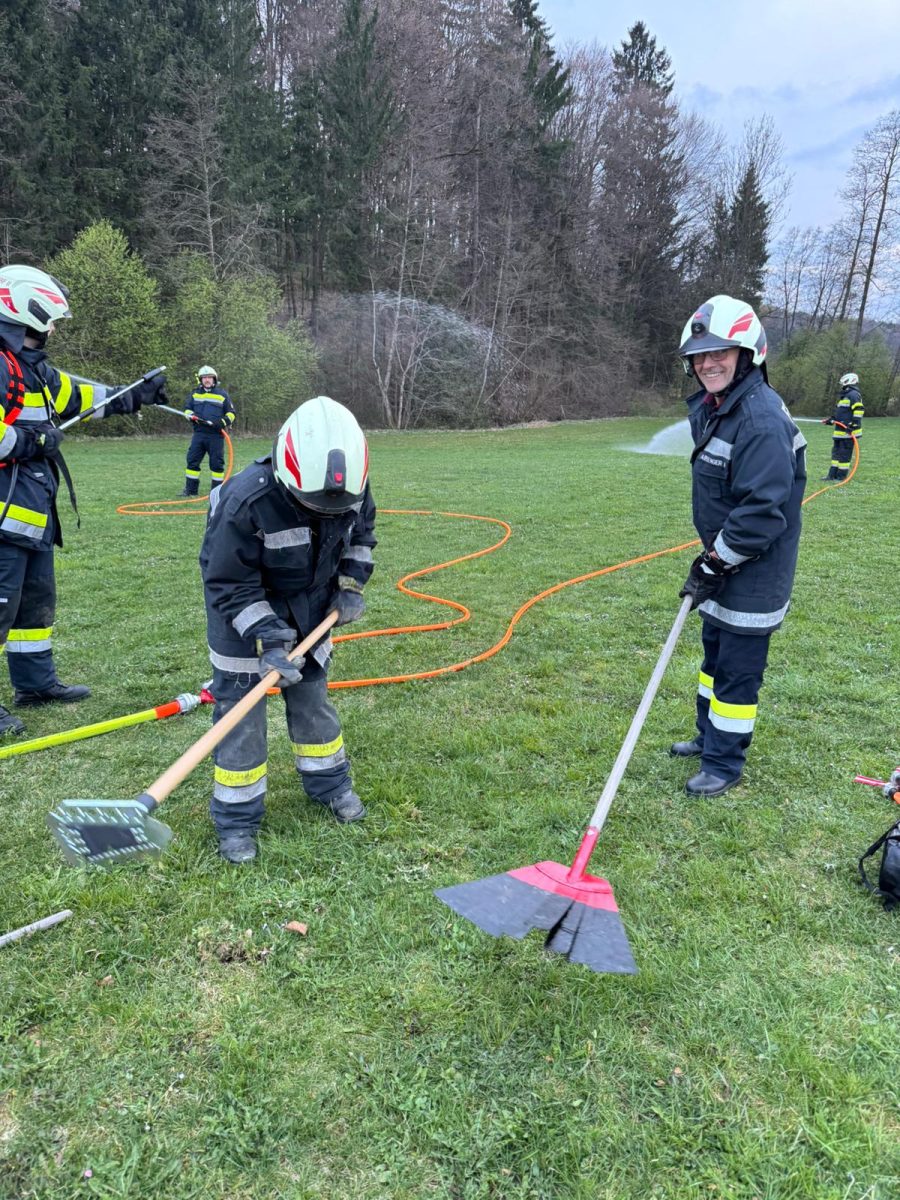 WhatsApp-Image-2026-04-08-at-18.53.17