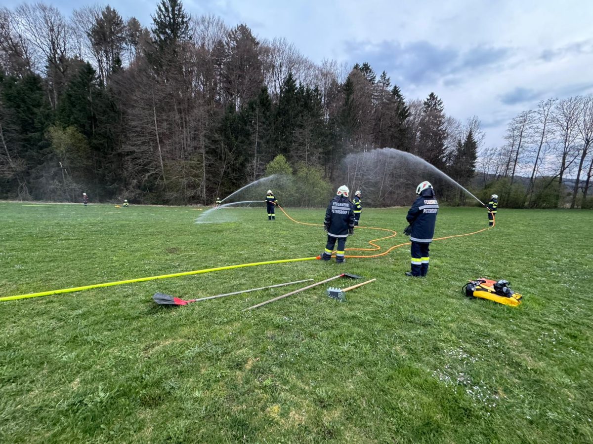 WhatsApp-Image-2026-04-08-at-18.53.18